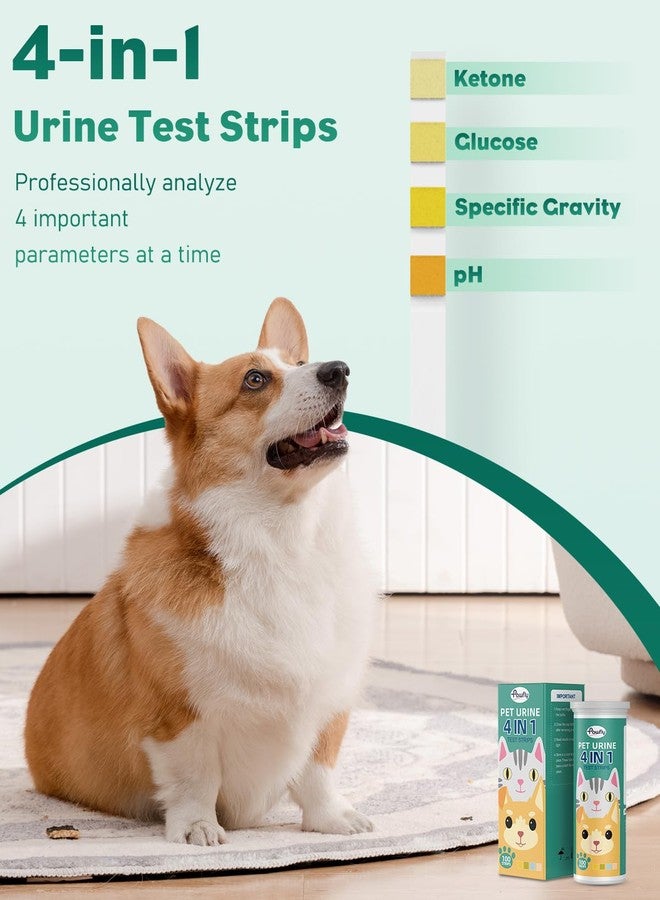 Pawfly Urine Test Strips, 100 Strips, Pet Urine Testing Strips for Ketone, Glucose, Specific Gravity & pH, Urinalysis Test Strips for Vets - Image 3